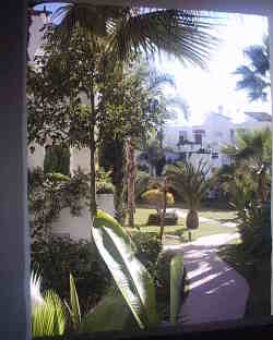 Garden view from steps to apartment