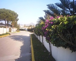 Local stroll - mountains in background