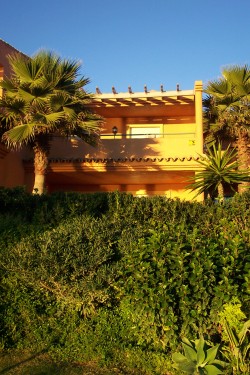 Sunrise from garden