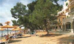 The Pine Walk - Port De Pollenca