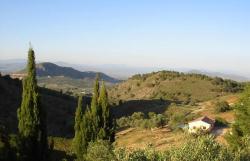 The Cottage and land