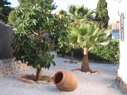 Side Garden