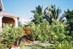 View of  garden and rear porch