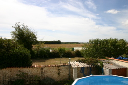 View out back of house