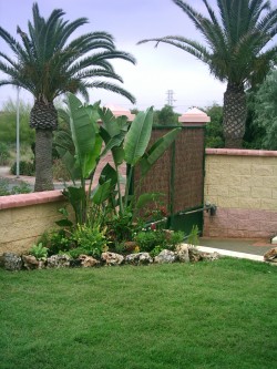 Front Garden