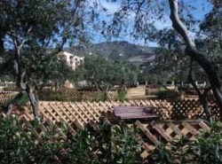Park opposite Pozuelo Beach