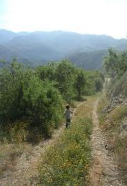 Scenic walks