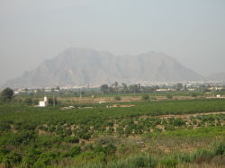 view from the roof