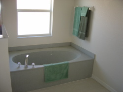 Master bathroom tub