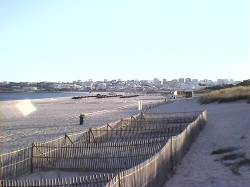  Meia Praia Beach from Balcony