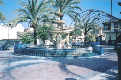 Algorfa square