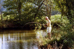 Fishing in our pond, contented afternoon