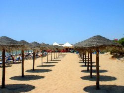 beach parasols