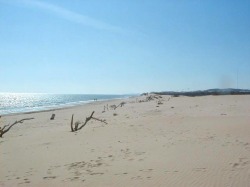 One of the Many Super Beaches Nearby