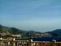 View from Pool Terrace