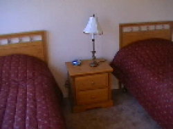 View of twin bedroom