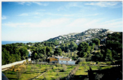 View from side balcony