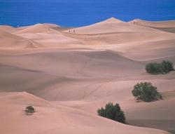 Dunes of Maspalomas.