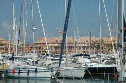 Sotogrande marina