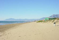 9 kilometres Of Golden Sandy Beach