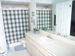 SECOND BATHROOM WITH SHOWER