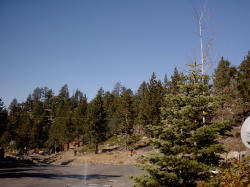Lovely view from outside on the deck