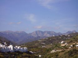 The view from the terraces