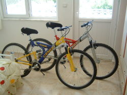Also mountain bike rental at good price
