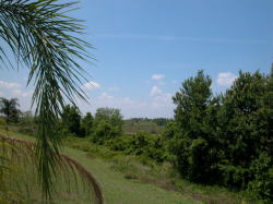 Enjoy the stunning, far reaching views