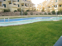 Communal Pool