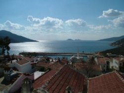 View of the Area