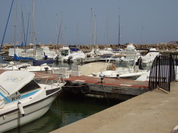 Fishing Harbour