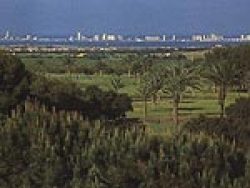 Local scene