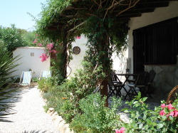 Garden and terrace
