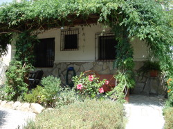 Flat garden and terrace