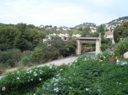 Top terrace views