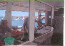The fish market Las Galletas