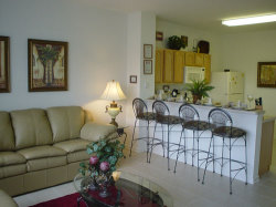 Living Area and Kitchen