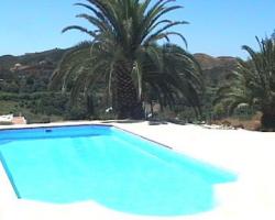 Stunning location. Large palm tree.