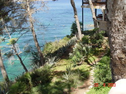 Mediterranean Garden