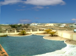 View of the garden