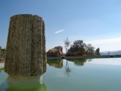 Local lake