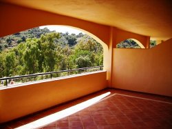 Covered terrace area