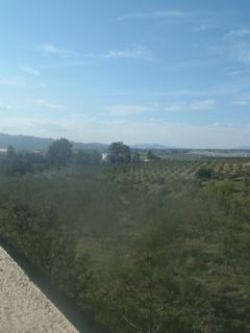 View from front terrace