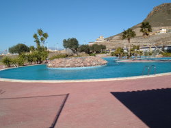 Communal Pool