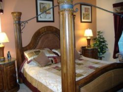 master bedroom, downstairs, ensuite will