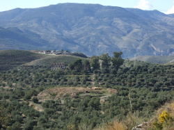 Las Alpujarras - 45 minutes away!