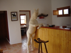 A Drink with your Horse in the Hipica Ba
