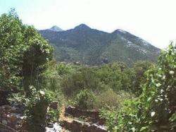 View from side balcony