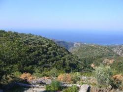 View from front balcony